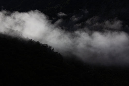 5.7 NZ, Milford Sound; Moody Morning